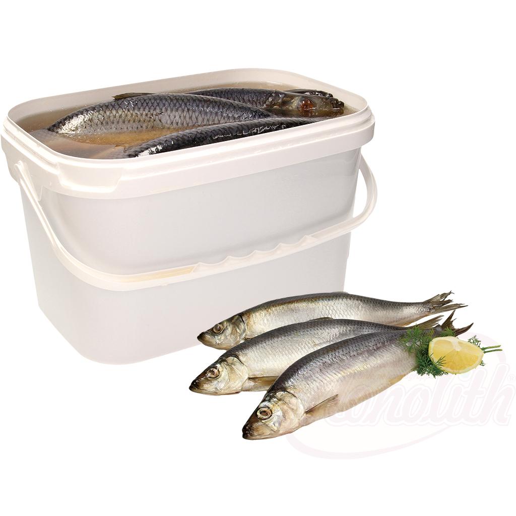 Haring (Clupea harengus) in pekel, niet gestript 4kg
