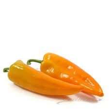 Paprika punt oranje