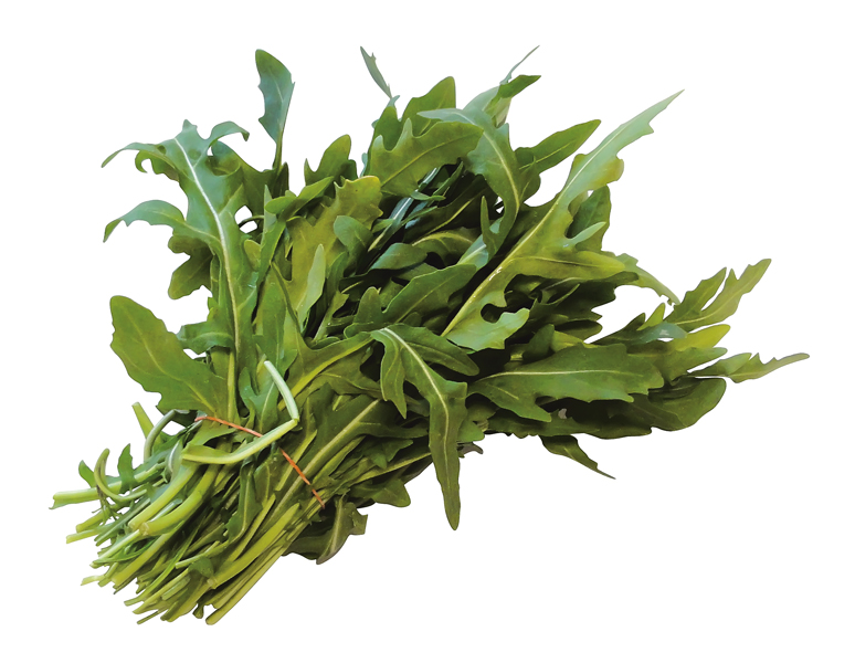 Rucola
