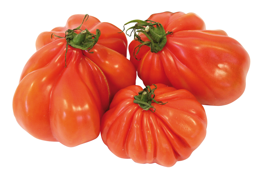 Tomaten Coeur de Boeuf +92