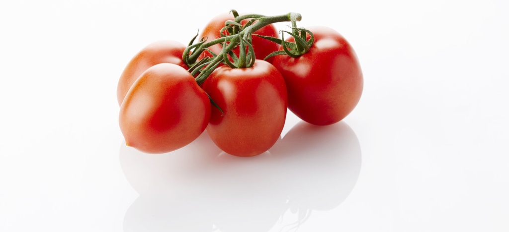 Trostomaten Prunella