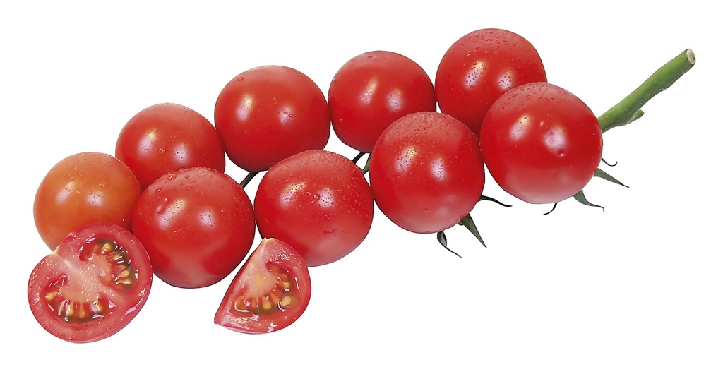 Trostomaten Ministar