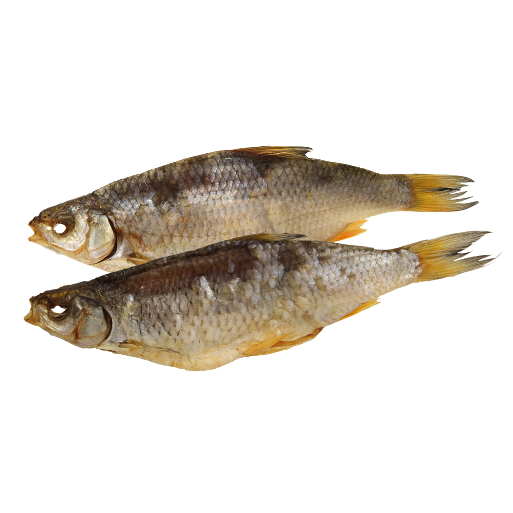 Plötze (Rutilus rutilus), gedroogd en gezouten, diepgevroren