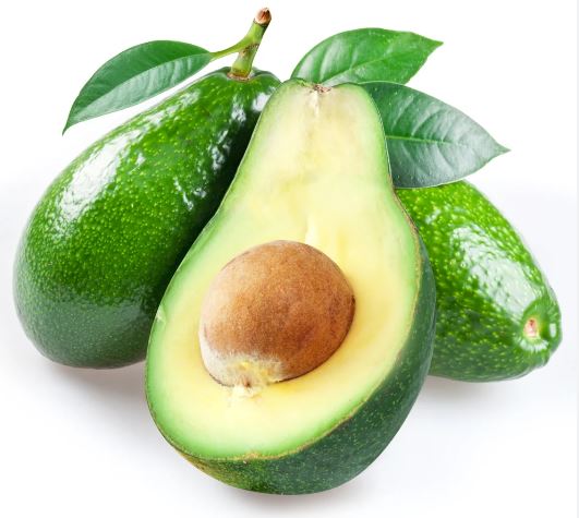 Avocado Zutano