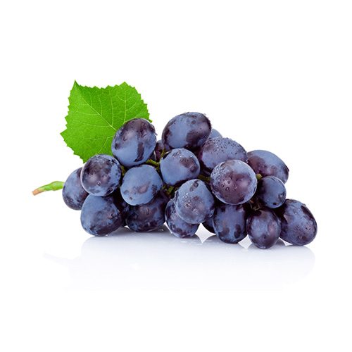 Druiven blauw Midnihgt Beauty