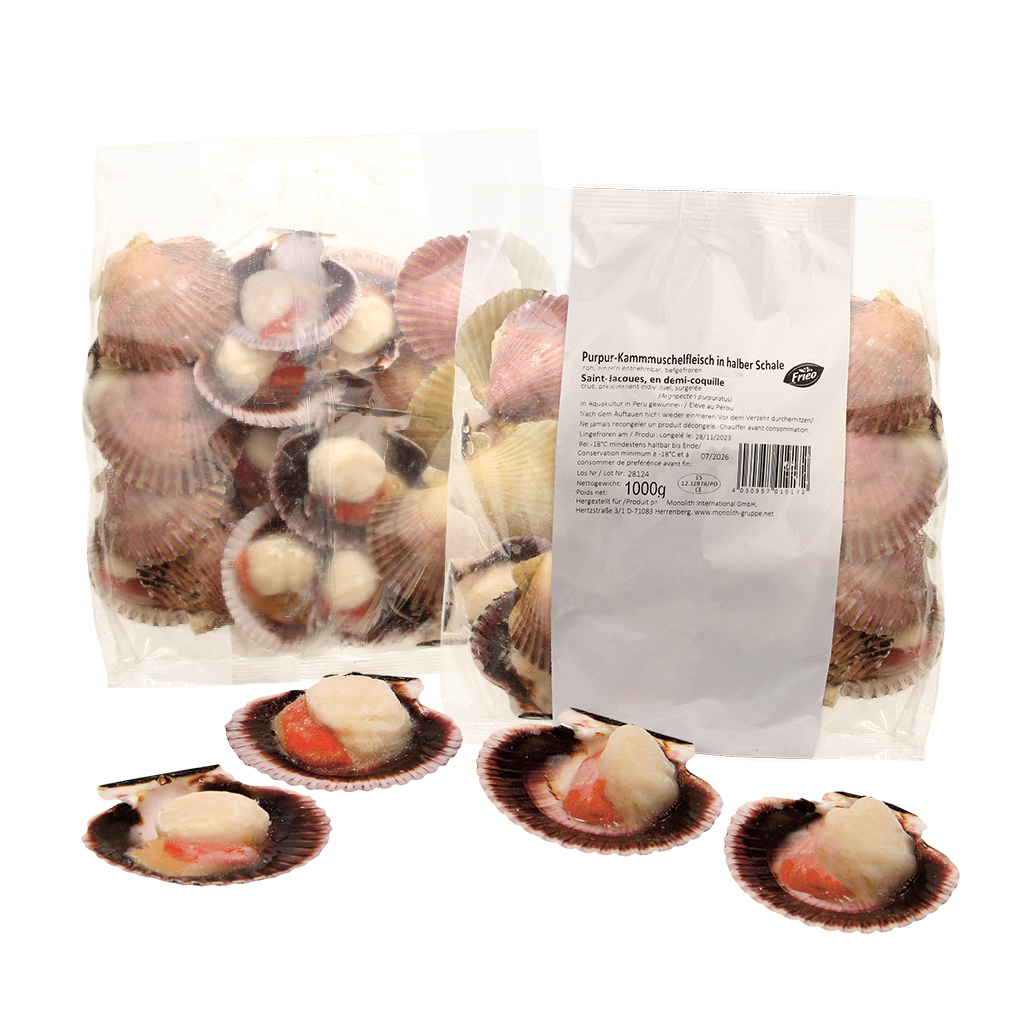 Purperen kammmuschelvlees in een halve schelp, rauw