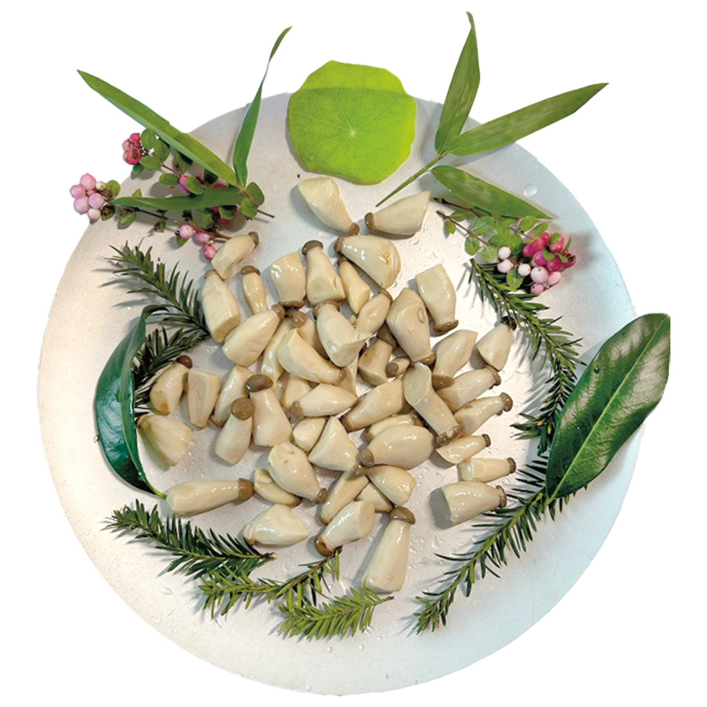 Gemarineerde mini-kruidenseitlingen