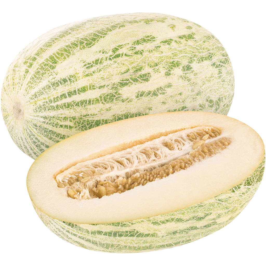 Honingtakken uit Oezbekistan