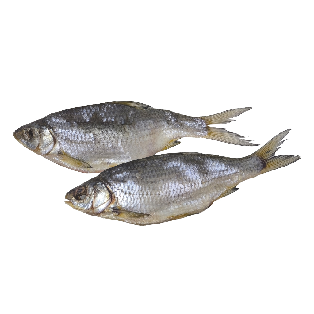 Wobla uit de Aralzee, heel, gezouten en gedroogd, diepgevror