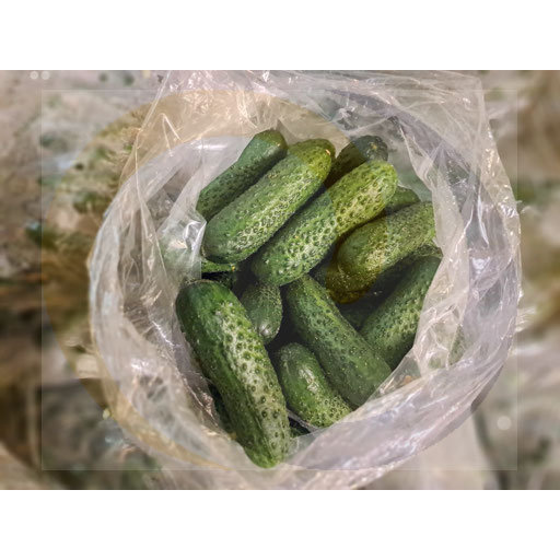 Grondkomkommer 10 kg