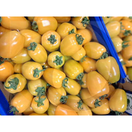 Lima-tomaat geel ongeveer 6 kg Polen