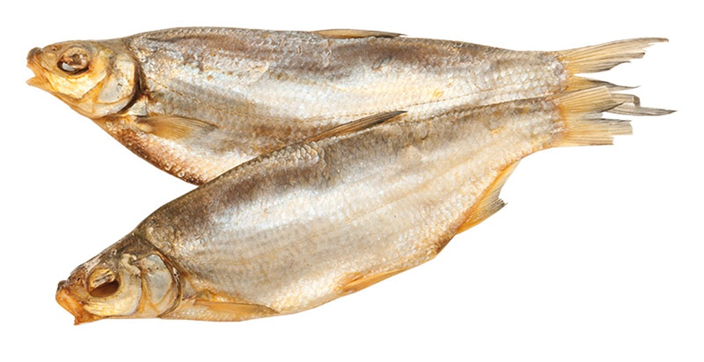 Zout en gedroogd, ongemaakten