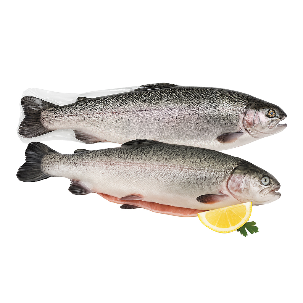 Zalmforel, schoongemaakt, met kop, rauw, klaar voor gebruik, diepgevroren