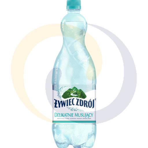 Żywiec Water, licht bruisend. 1,0l/6 stuks. DRS Żywiec Zdrój