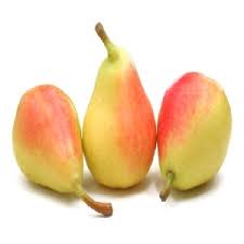 Peren Santa Maria st.