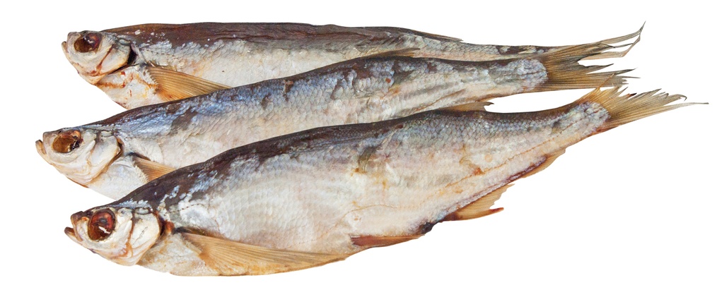 Sichling (Pelecus cultratus), ongekuist, gezouten en gedroogd