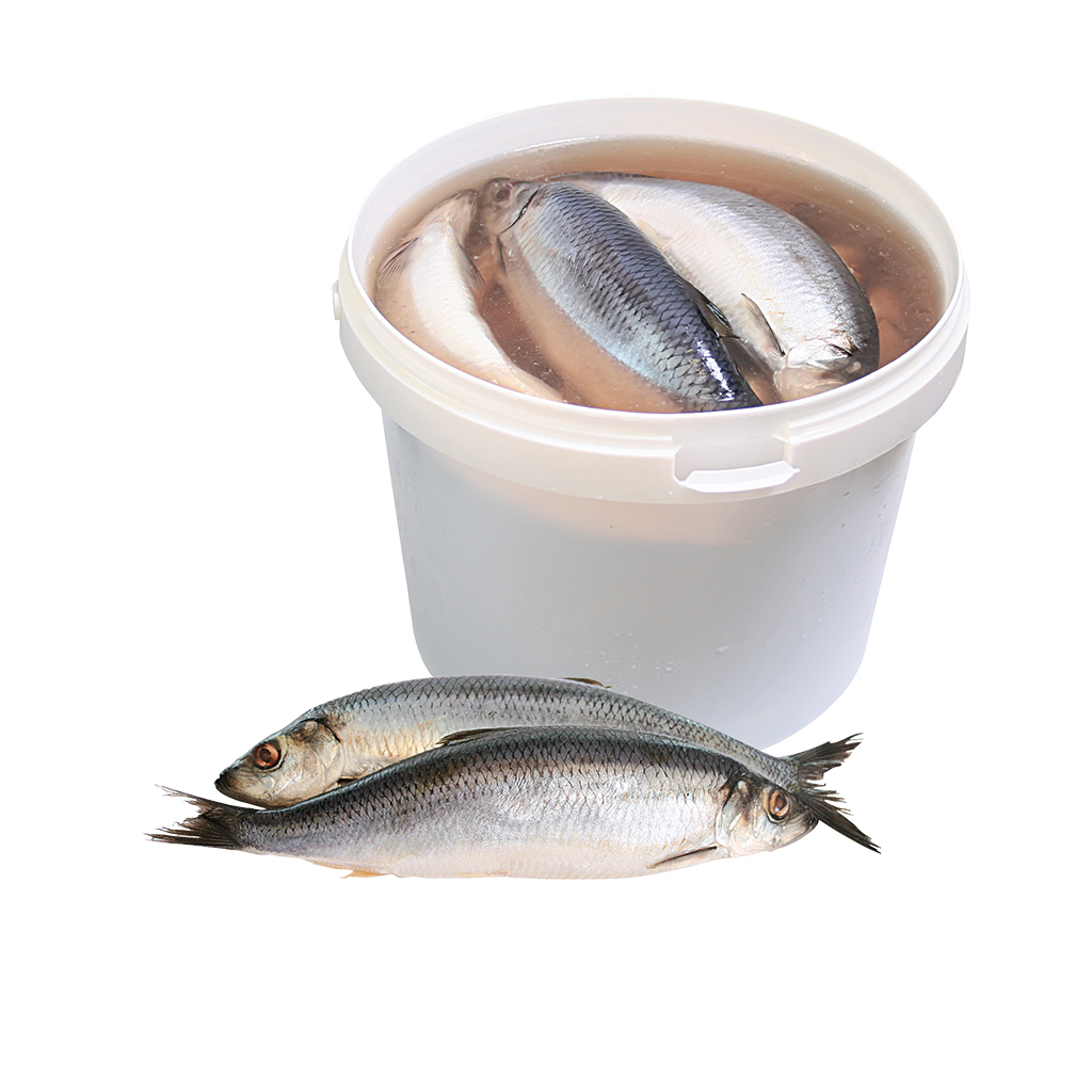 Haring in zoutwater, niet schoongemaakt (Clupea harengus)