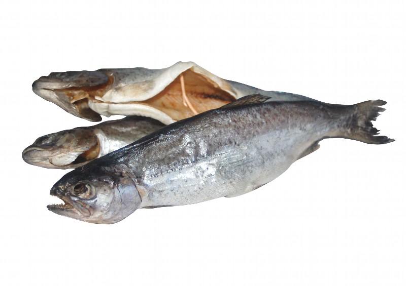 Gezouten en gedroogde forel (Oncorhynchus mykiss), uitgenome