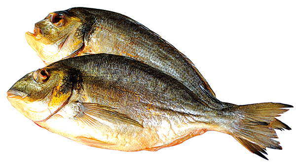 Dorade Royal (Sparus aurata) uitgenomen, koudgerookt