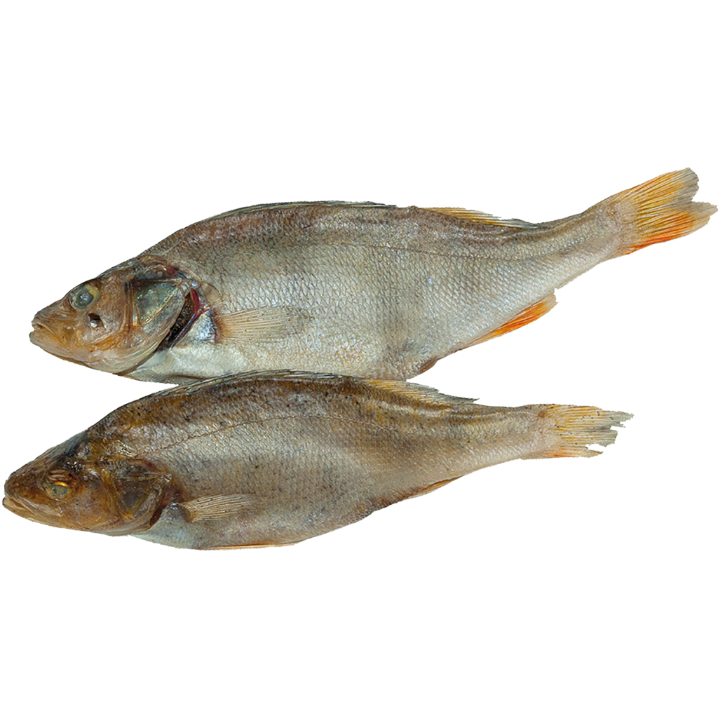 Gezouten en gedroogde snoekbaars (Perca fluviatilis), ongekuist