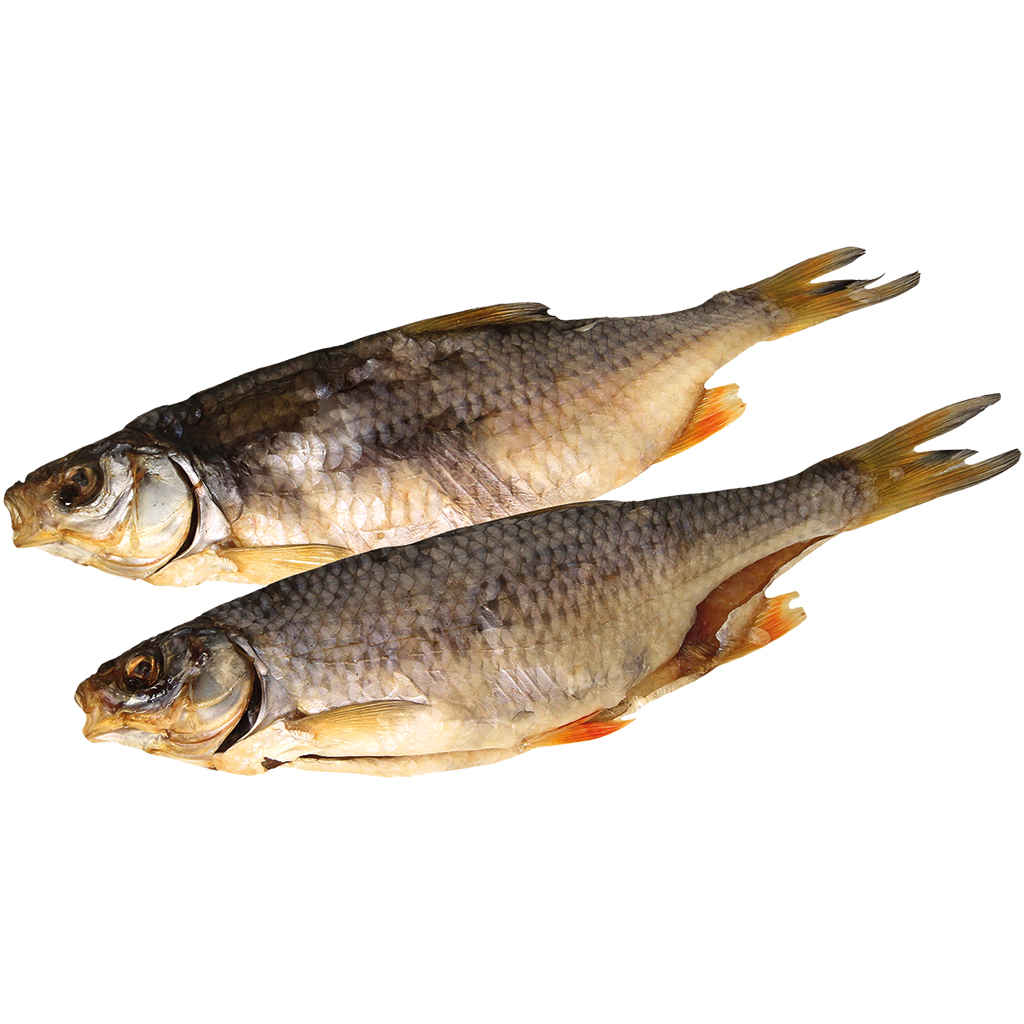 Rotfeder (Scardinius erythrophthalmus) gezouten en gedroogd, ongekuist