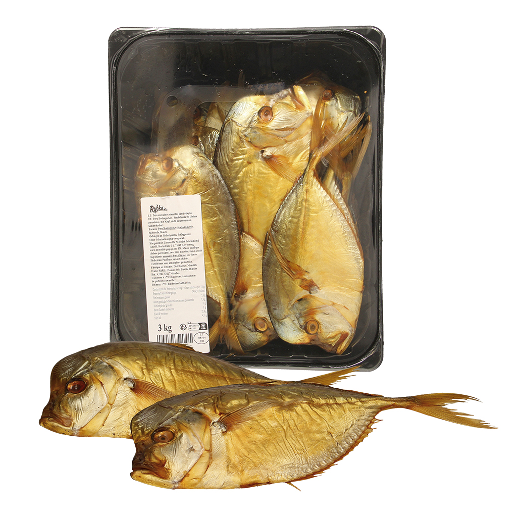 Peruaanse opkijkstaart-vleermuisvis (Selene peruviana), met