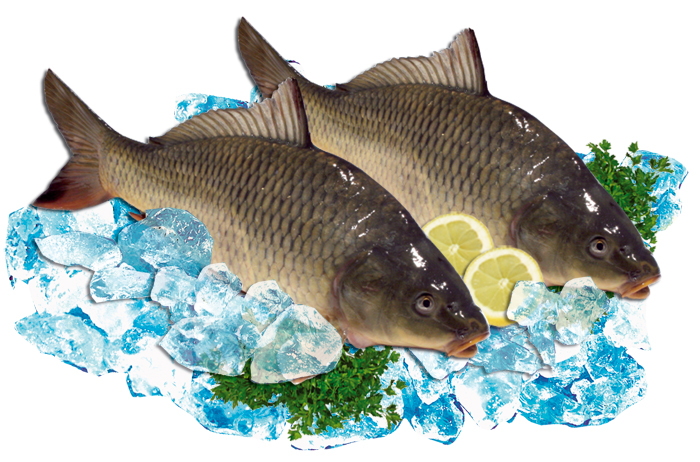 Сaзан потрошеный