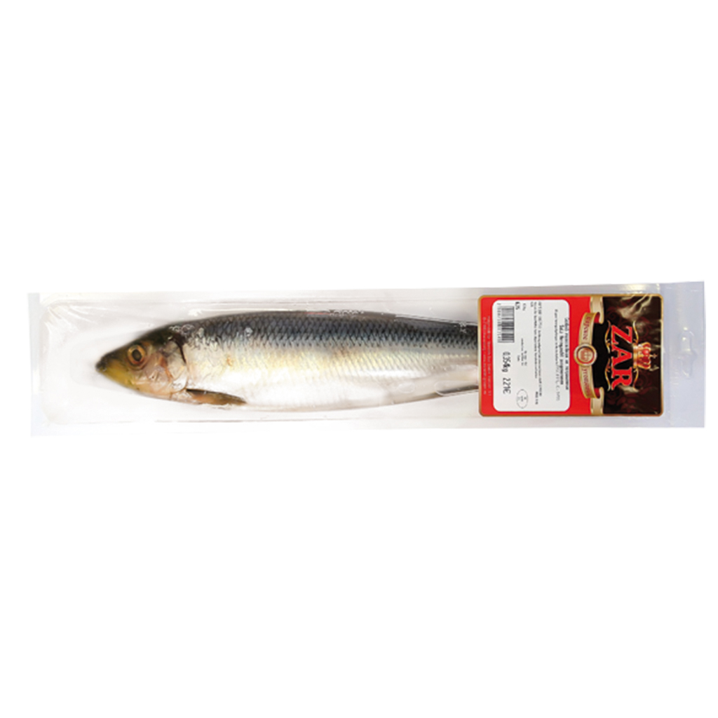 Haring (Clupea harengus), gezouten "Zar"