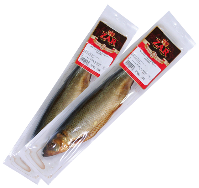 Koudgerookte haring (Clupea harengus) met kop, niet schoon