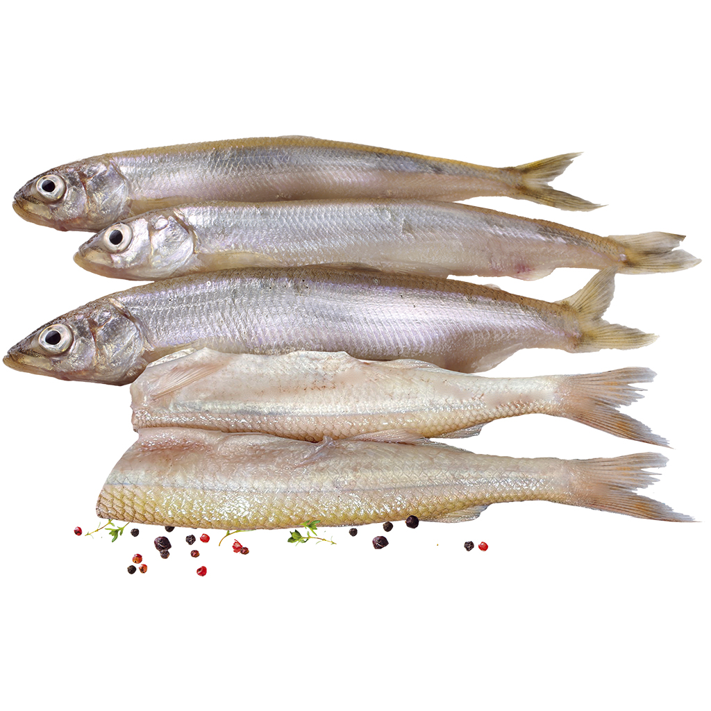 Spiering "Komkommervis"