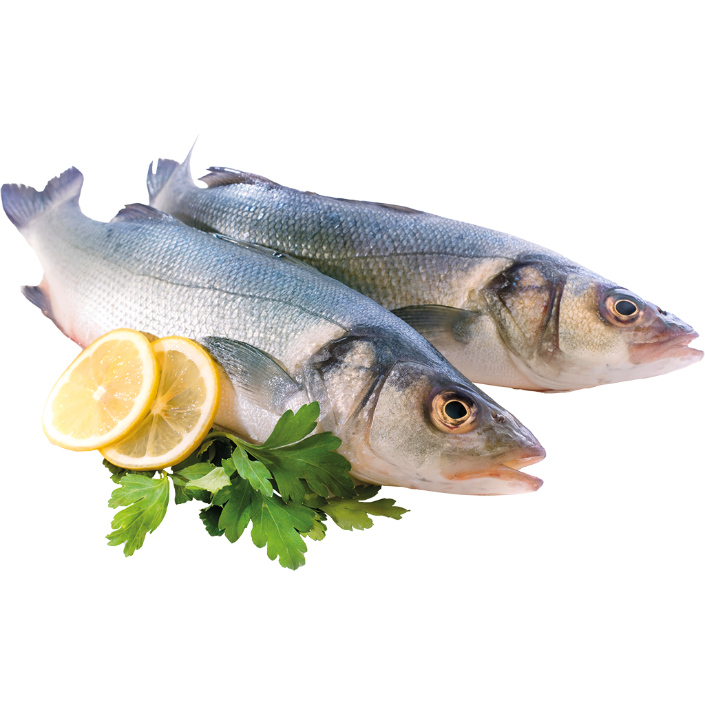 Zeebaars voor grill