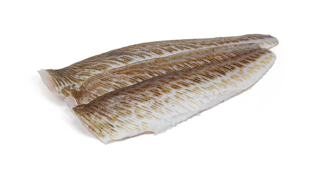 Zwartbekmondgrondel