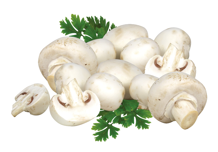 Champignons wit