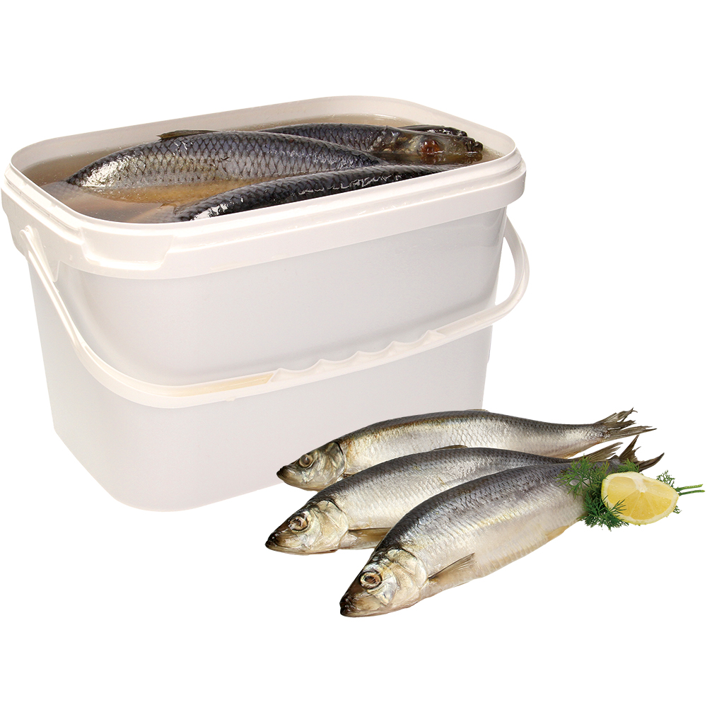 Haring (Clupea harengus) in pekel, niet gestript / verliezen