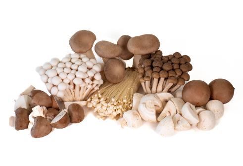Champignons mix verpakt