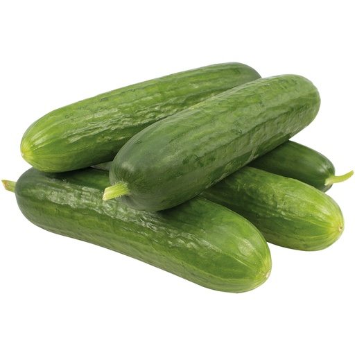 Komkommer mini