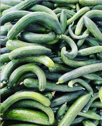 Komkommer Stek fijn