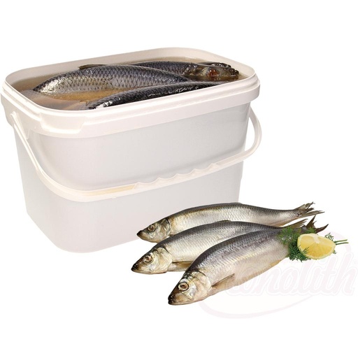 Haring (Clupea harengus) in pekel, niet gestript 4kg
