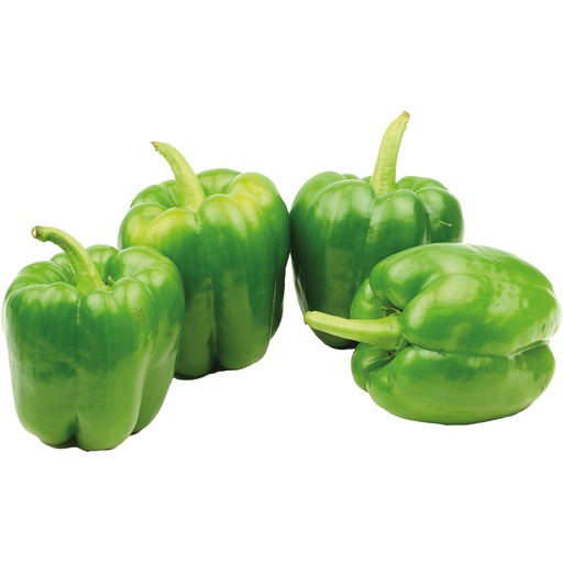 Paprika groen