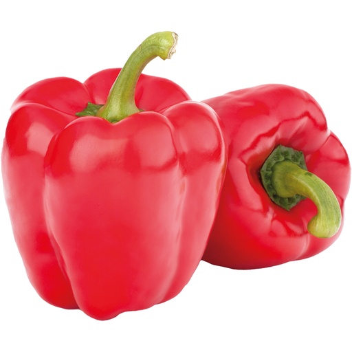 Paprika rood
