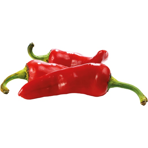 Paprika spits rood