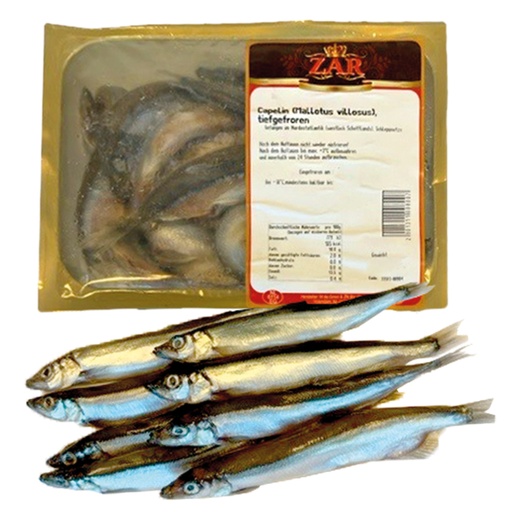 Capelin (Mallotus villosus), diepgevroren