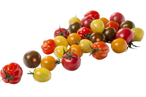 Tomaten Lima geel, rood