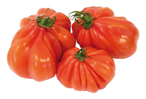 Tomaten Coeur de Boeuf +92