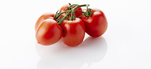 Trostomaten Prunella