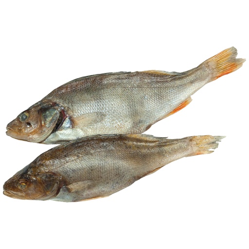 Baars (Perca fluviatilis), gedroogd en gezouten, diepgevrore