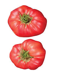 Tomaten Tomerossa