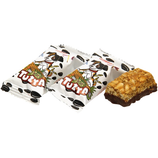 Zonnebloempitten-krokant "Tuzja" gedeeltelijk in cacaobasis