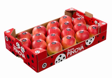 Appels Pinova