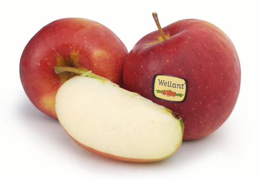 Appels Wellant